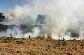  Bombeiros alertam: fogo em terrenos baldios pode causar grandes incêndios